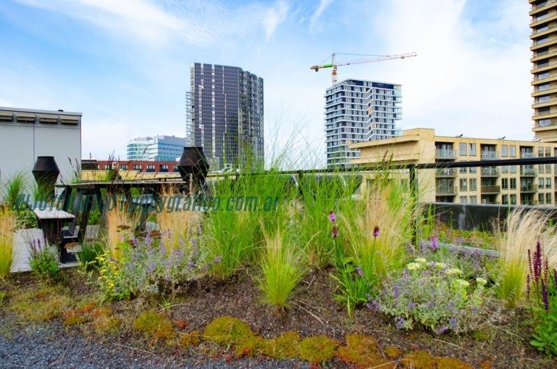 Biodiversidad La importancia de la biodiversidad urbana y cómo conservarla5 Biodiversidad La importancia de la biodiversidad urbana y cómo conservarla5